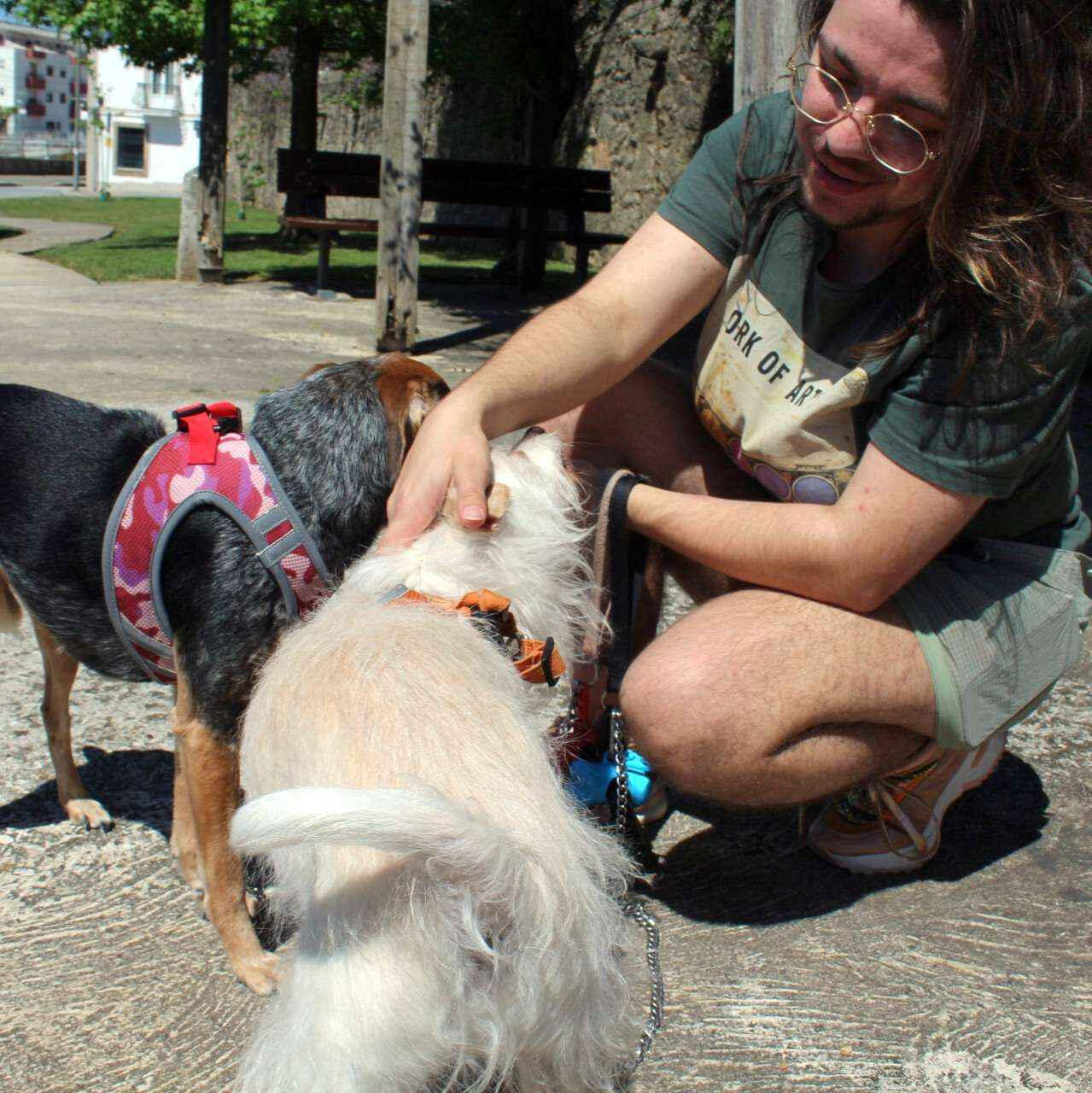 A photo of me petting my mom's dog Tramp, with their other dog Ellis beside me while on a walk in the park.